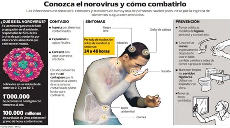 norovirus sintomas